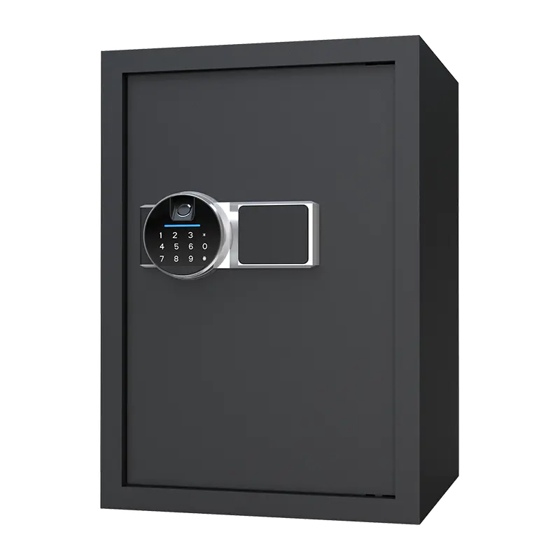 BS0150 48L biometrikus otthoni széf